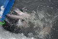 DSC_0038.JPG