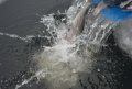 DSC_0055.JPG