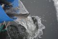 DSC_0065.JPG