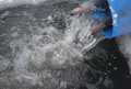 DSC_0010.JPG