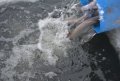 DSC_0011.JPG