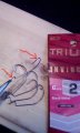 IMG_20200202_093816_610.jpg