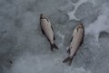 DSC_0023.JPG