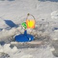IMG_20200210_161856_194.jpg