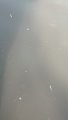 IMG-20200221-WA0018.jpeg