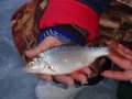 DSC02205.JPG