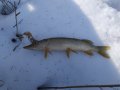 IMG_20200221_111243.jpg