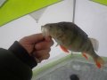 DSC02207.JPG