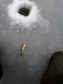 IMG_20200227_084058.jpg