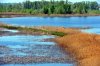 DSC_1768.jpg