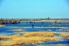 DSC_1776.jpg
