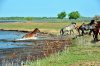 DSC_1324.jpg