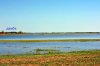 DSC_1335.jpg