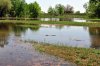 DSC_1338.jpg