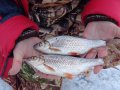 DSC02235.JPG