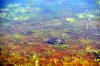 DSC_1369.jpg
