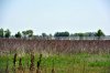 DSC_1408.jpg