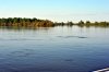 DSC_1442.jpg