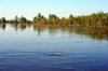 DSC_1446.jpg
