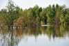 DSC_1449.jpg