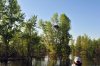DSC_1459.jpg
