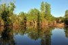 DSC_1491.jpg