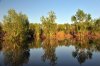 DSC_1494.jpg