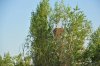 DSC_1496.jpg