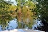 DSC_1503.jpg