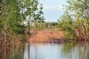 DSC_1515.jpg