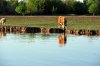 DSC_1567.jpg