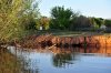 DSC_1582.jpg