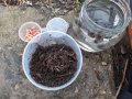 IMG-20200313-WA0081.jpg
