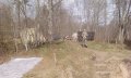 IMG-20170510-WA0030.jpeg