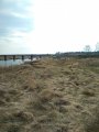 IMG_20200413_130231.jpg