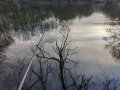 IMG-20200415-WA0141.jpg