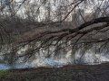 IMG-20200417-WA0144.jpg