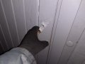IMG-20200417-WA0124.jpg