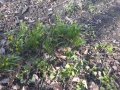 IMG-20200420-WA0115.jpg