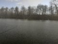 IMG-20200420-WA0125.jpg