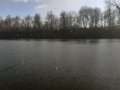 IMG-20200420-WA0120.jpg