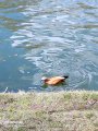 IMG_20200423_144025.jpg