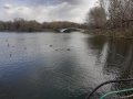 IMG-20200424-WA0080.jpg