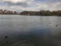 IMG-20200424-WA0051.jpg
