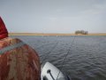 IMG_20180328_085350.jpg