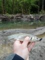 IMG_20200426_175712.jpg