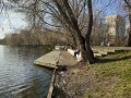 IMG-20200427-WA0101.jpg