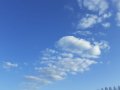 IMG-20200427-WA0111.jpg