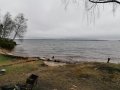 IMG_20200512_171303.jpg