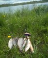 IMG_20200601_151011.jpg